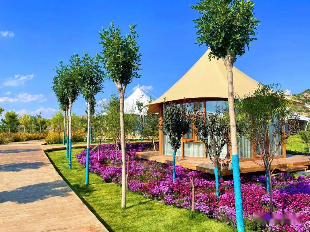 【白银文旅】大坪·凤园花海, 遇见一片盛开的秋天_微风_平台_权威