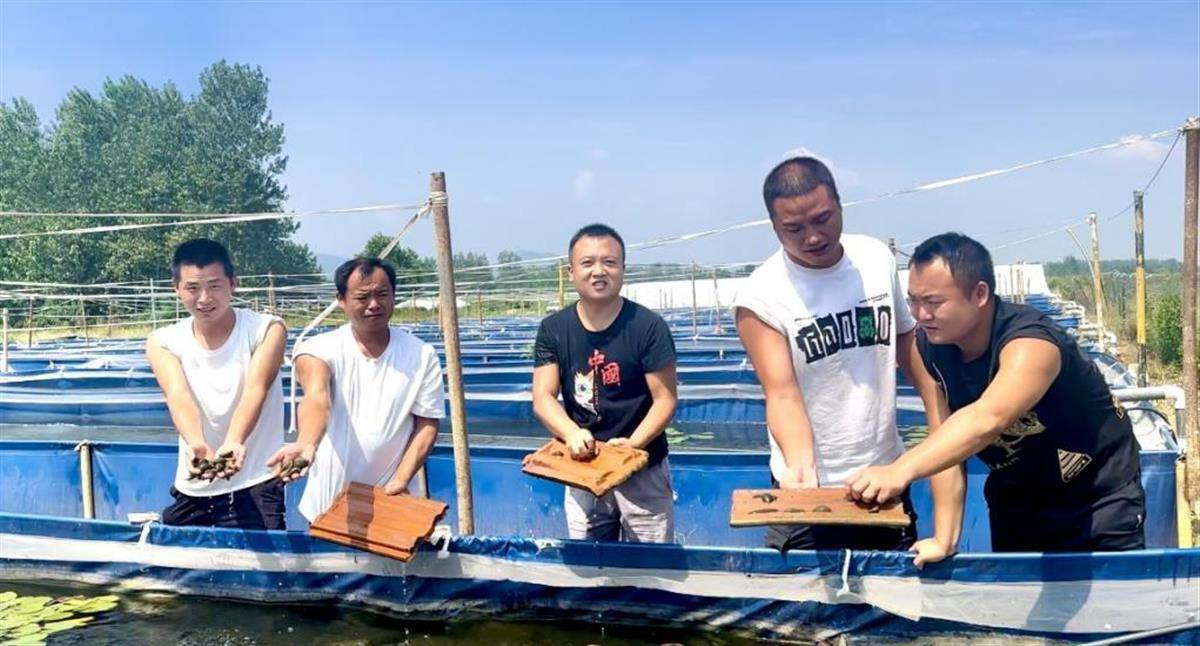 致富养殖泥鳅图片_致富养殖泥鳅视频_致富经泥鳅养殖