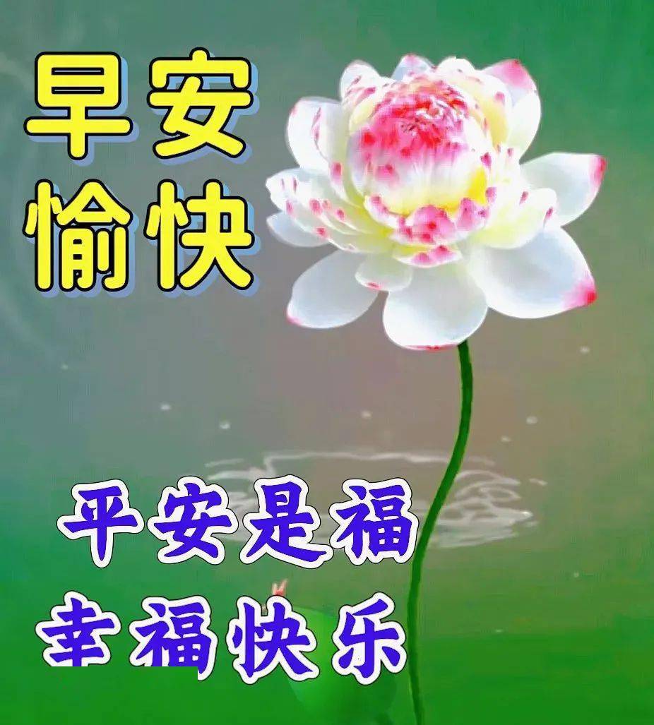 新版好看的夏日早安图片大全,天气炎热,小心防暑