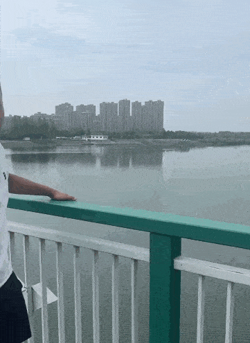 新安大桥上跳河救人的男子找到了_张龙_落水_女子