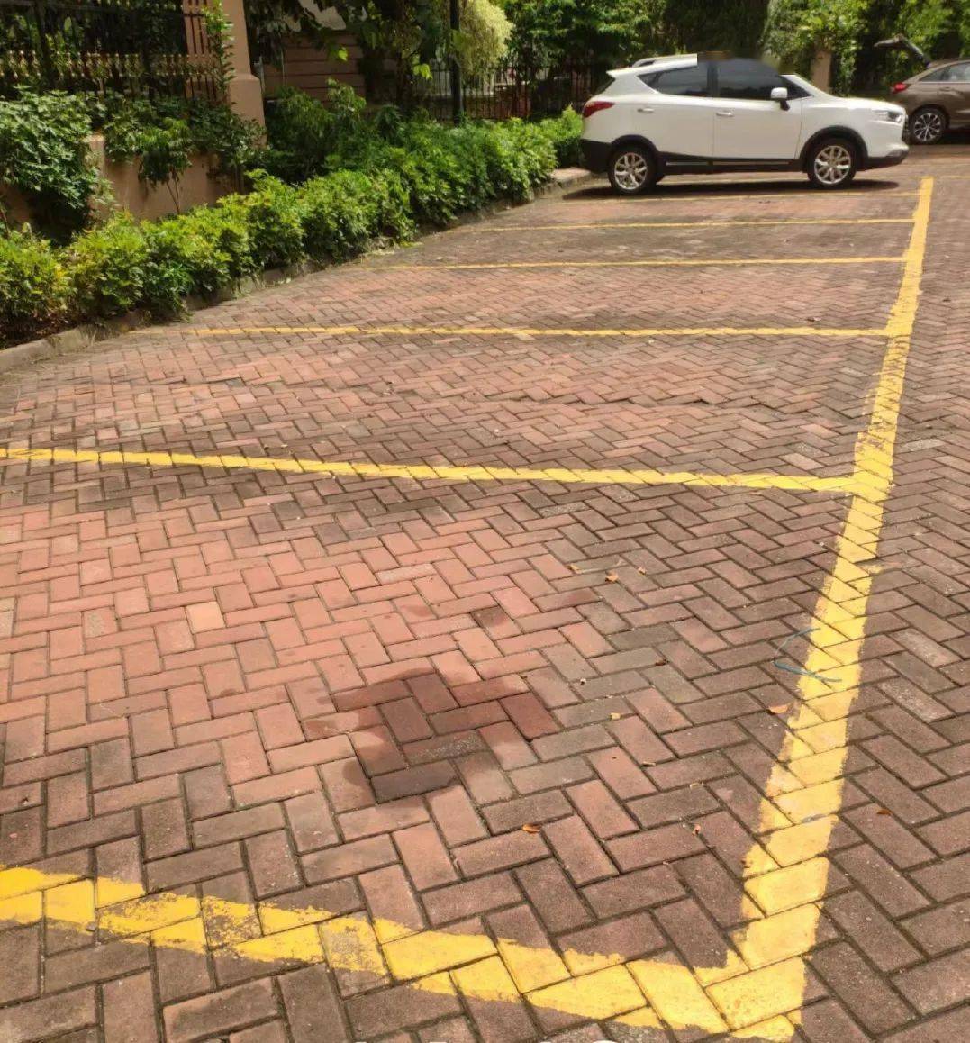果岭豪庭的人行道隔行线以及水都威尼斯消防通道网格线等等位置进行