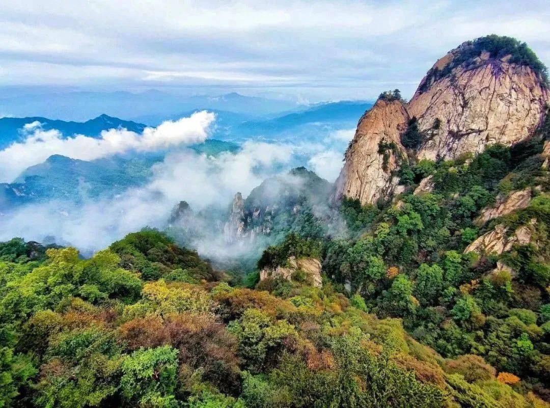 木札岭景区门票半价啦!错过等一年!_嵩县_古木_碧水