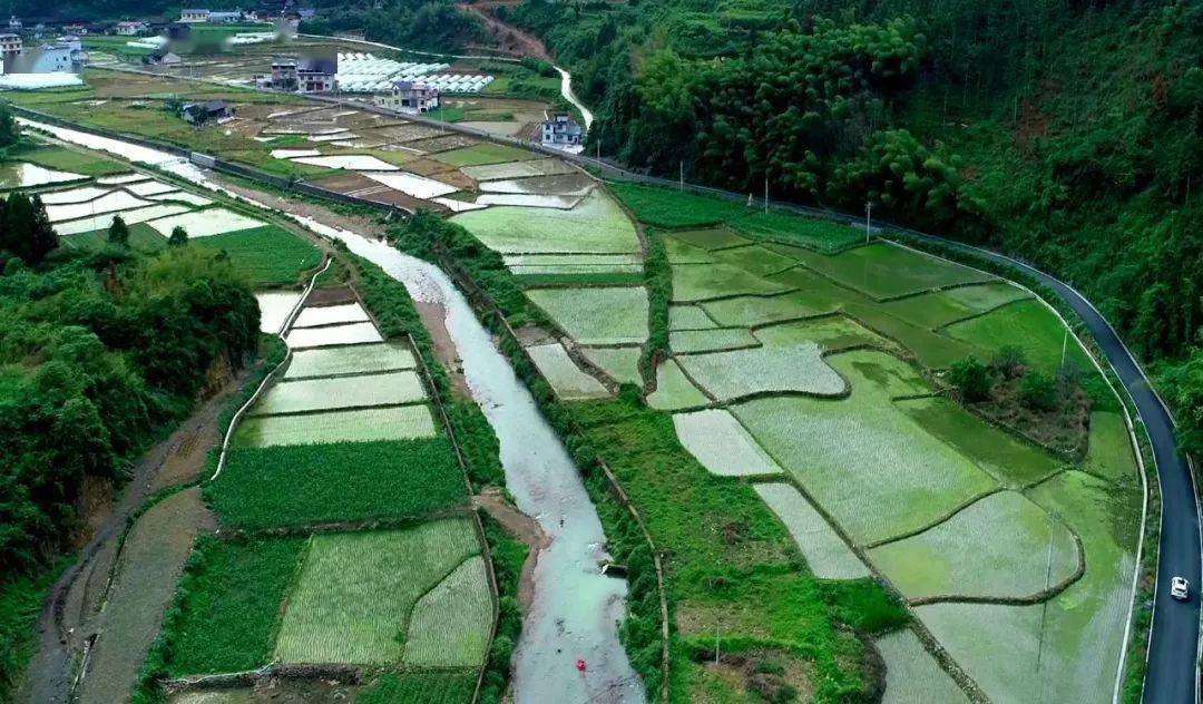 路畅景美客自来——保靖县复兴镇大妥万亩油茶产业园产业路发展缩影