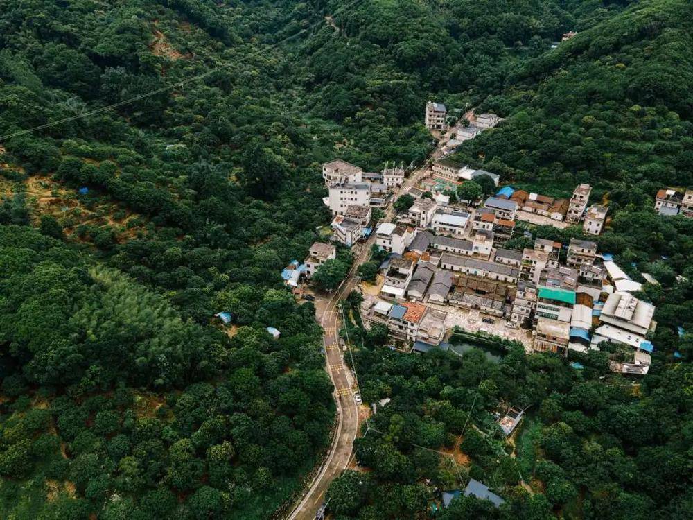 正果畲族村约在明中叶从湖南迁往连州,再从连州迁到博罗,增城,至今