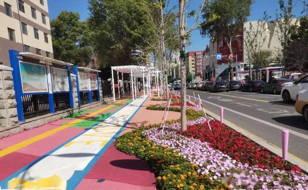 长春同志街变样了_花池_改造_市民