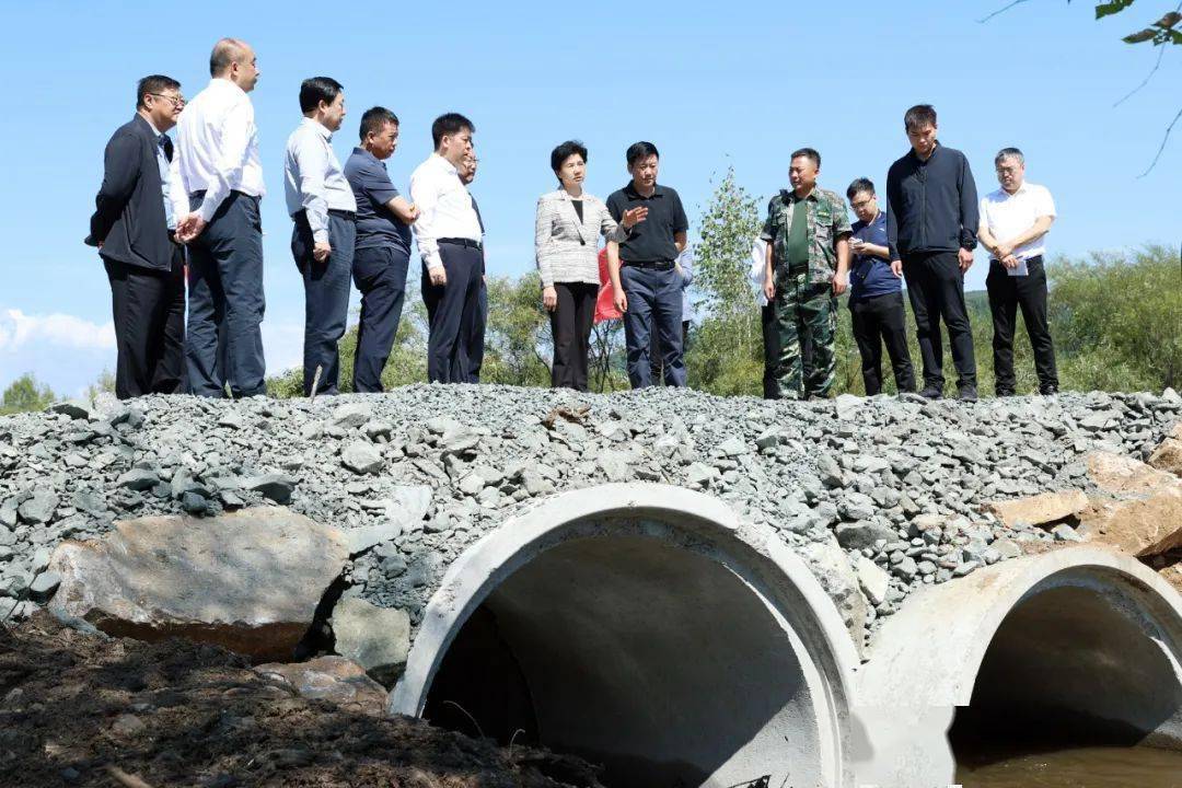 省委副书记,省长梁惠玲在东京城林业局抚育站经营所察看桥梁修复情况.