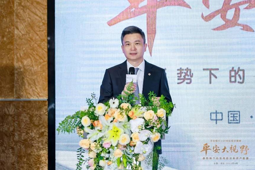 平安银行"平安大视野":看好中国经济长期潜力,资产配置价值凸显_投资