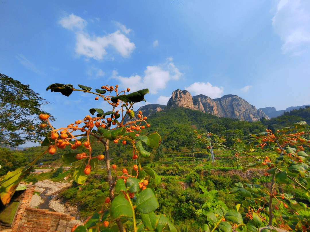 和美乡村行|辉水村:诗意山水,"醉"美村庄_磁县_河北省_景区