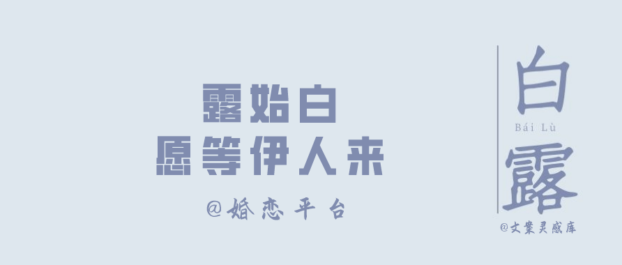 白露节气 各大品牌文案