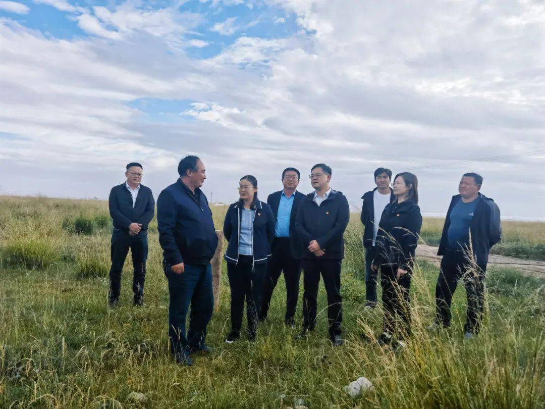 县委书记蒋冬梅深入茶卡镇调研指导工作_建设_发展_生活