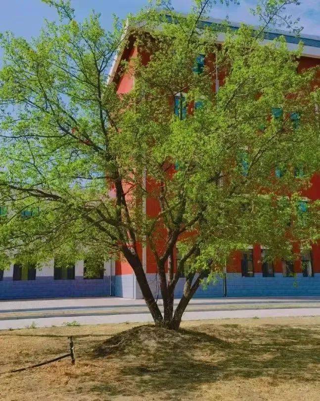 【县级工会加强年】突泉县总工会联合突泉一中举办教职工系列活动