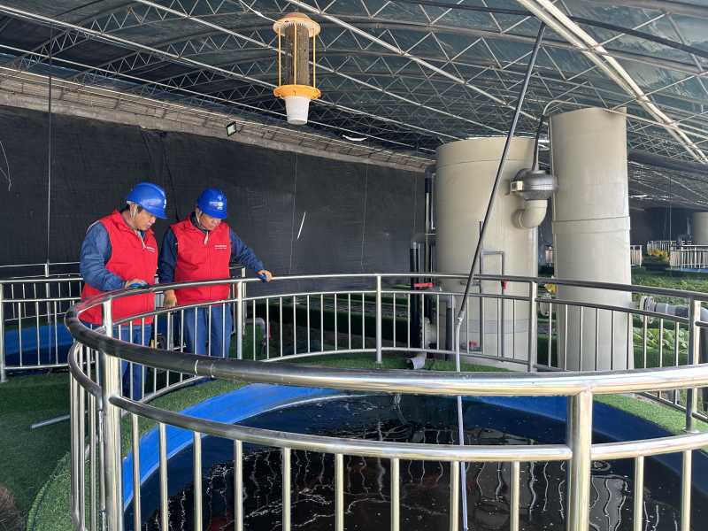 LD乐动体育满格电力赋能农业现代化