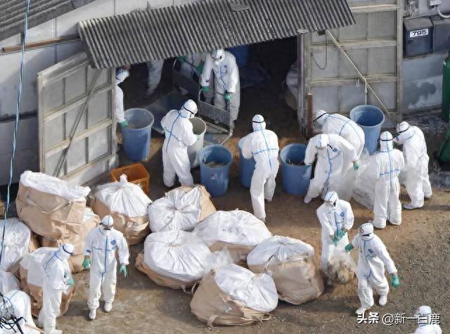 全部达标！日本宣布核污水排海第一波检测数据，获国际原子能认可