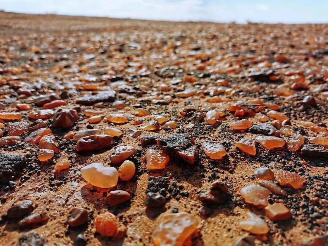 乌拉特后旗:向海内外展现出这样的奇石世界……_石头_玛瑙_商家