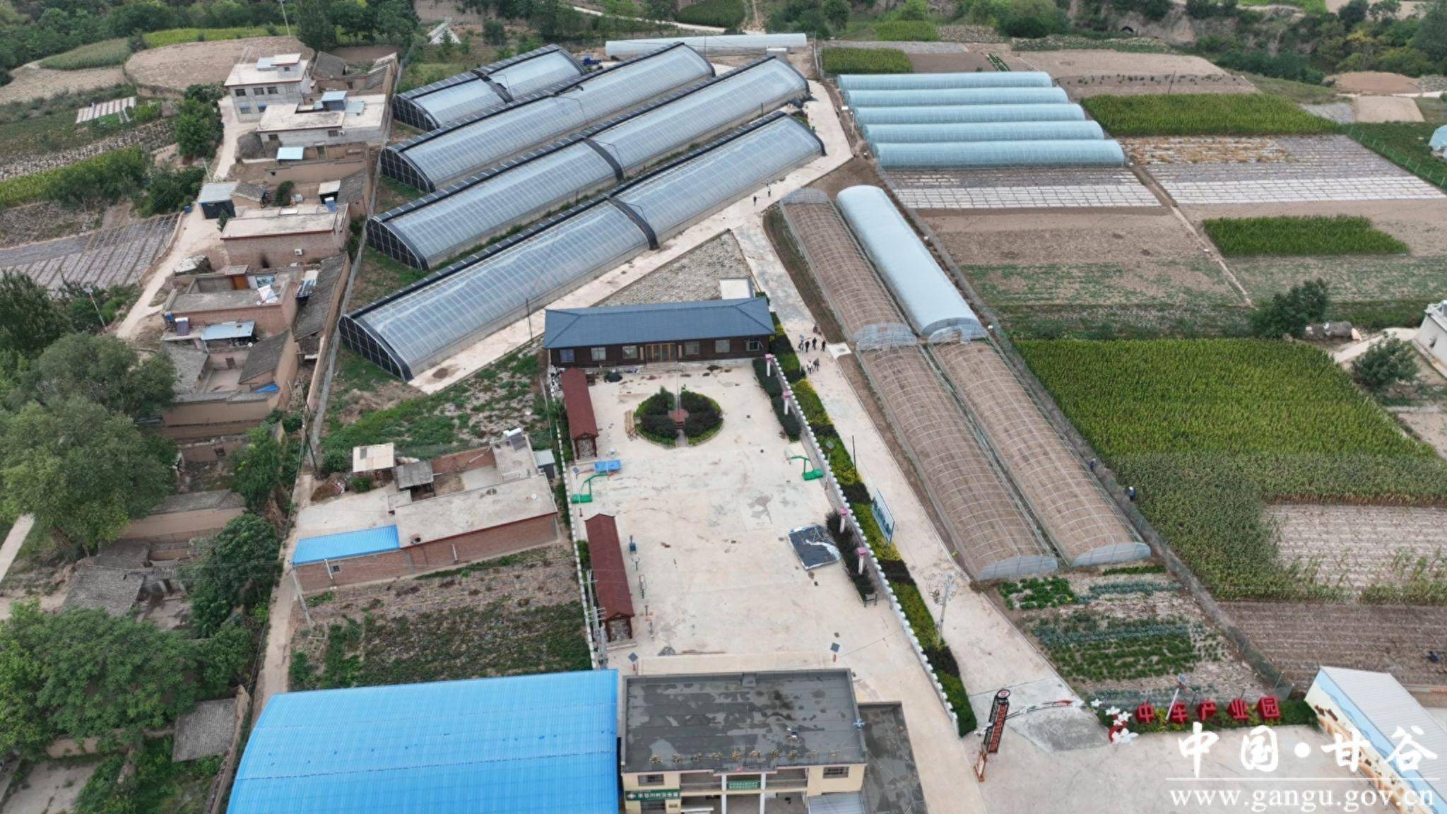 甘谷县金山镇:打造田园综合体 农旅赋能促振兴_米谷_产业_大棚