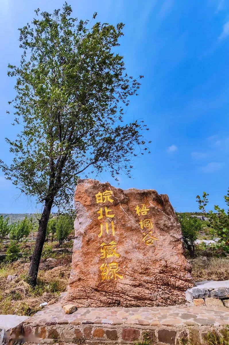 梧桐村图记_视频_尺寸_皖北