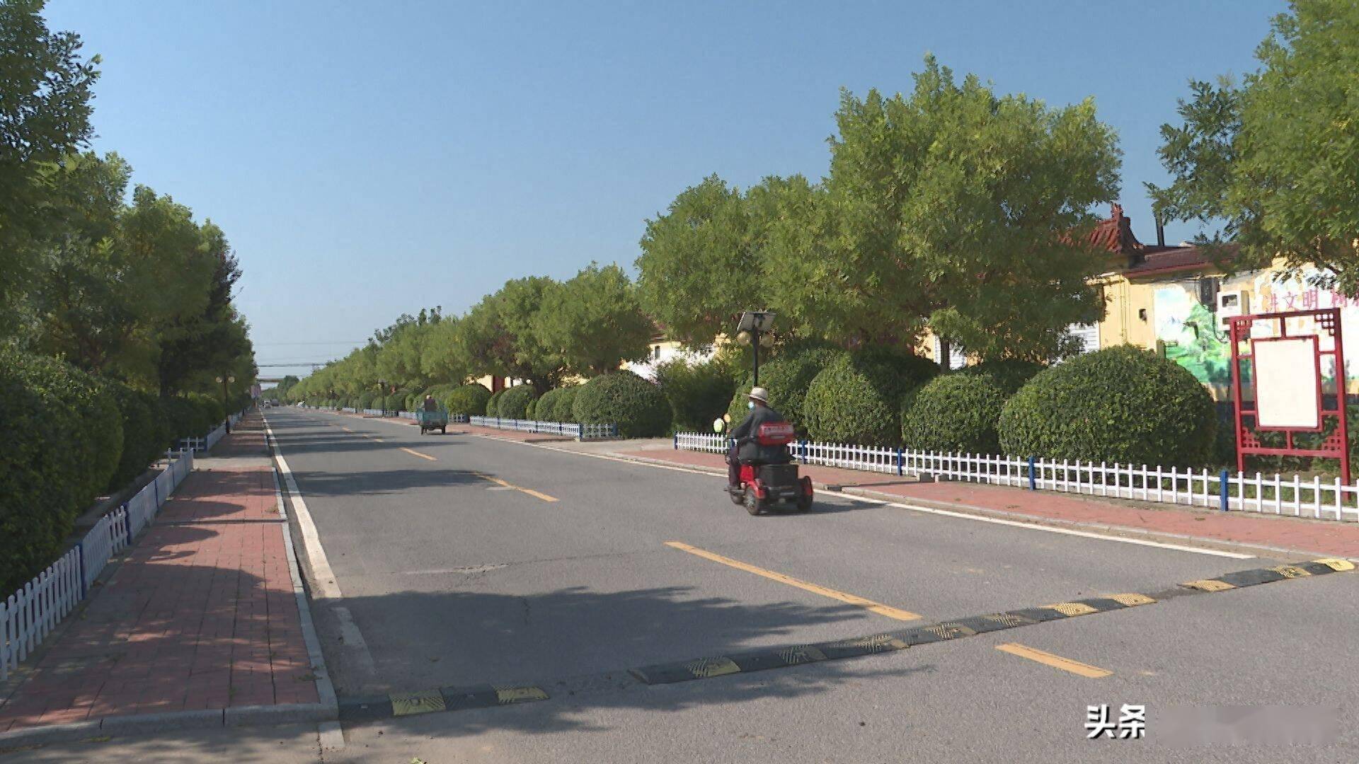 商河县龙桑寺镇获评山东省"文明乡风建设"乡镇级典型案例_乡村_治理