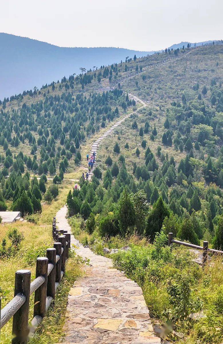 梧桐村图记_视频_尺寸_皖北