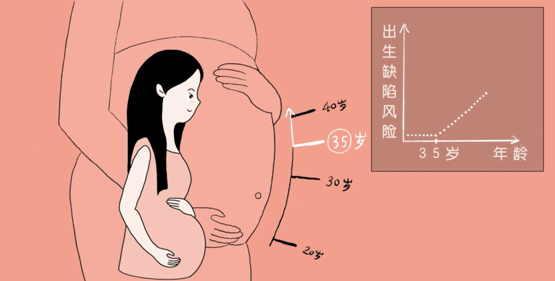 妊娠就是怀孕吗 来自搜狐网