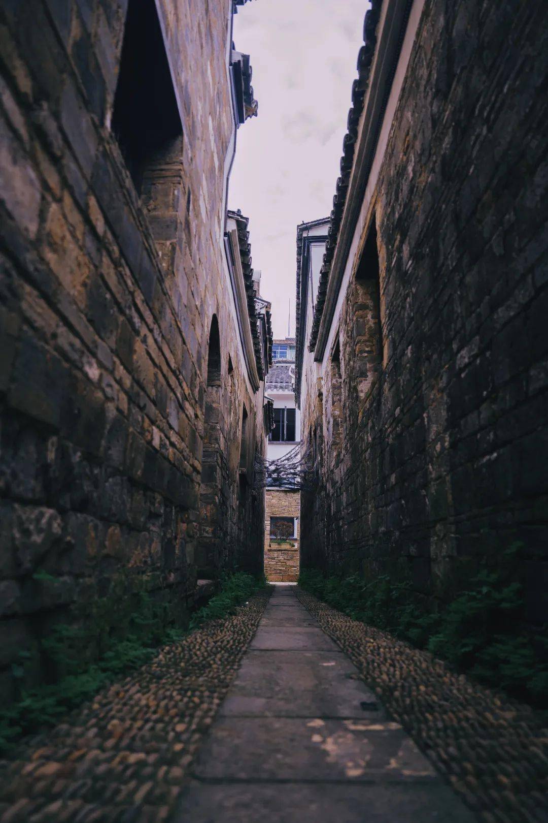 来,一起寻找龙游"大南门记忆"~_照片_征集_老街