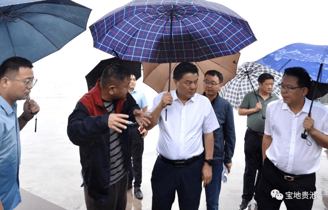 马胜利到乌沙殷汇等地督导检查突出生态环境问题整改工作_贵池区_要求