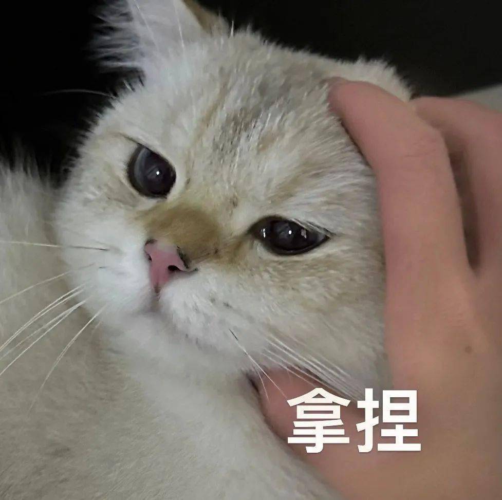 好玩有趣的表情包 yyds~_微信_方法_版权