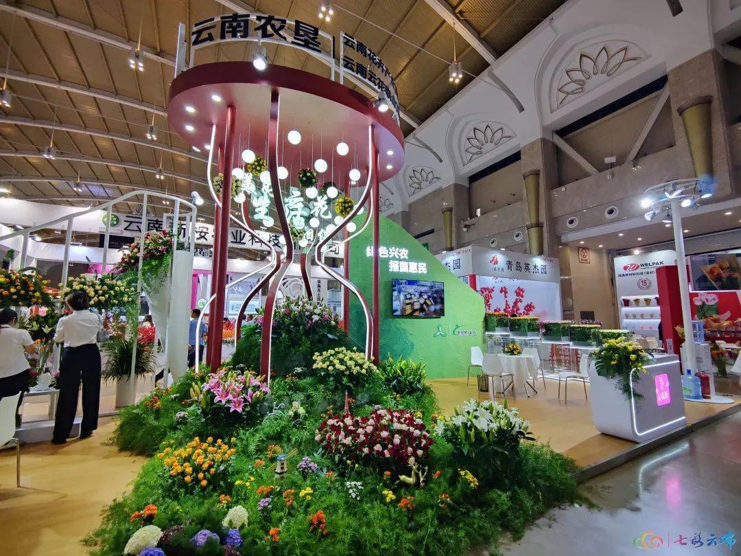 以花为媒 传递美好 第二十一届中国昆明国际花卉展开幕_发展_云南