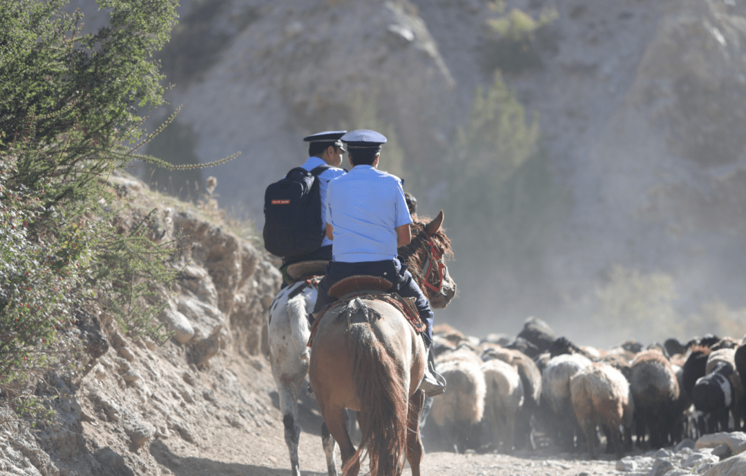 这里的警察,骑马上班!_阿克塔什_库普瓦力·拜克_群众