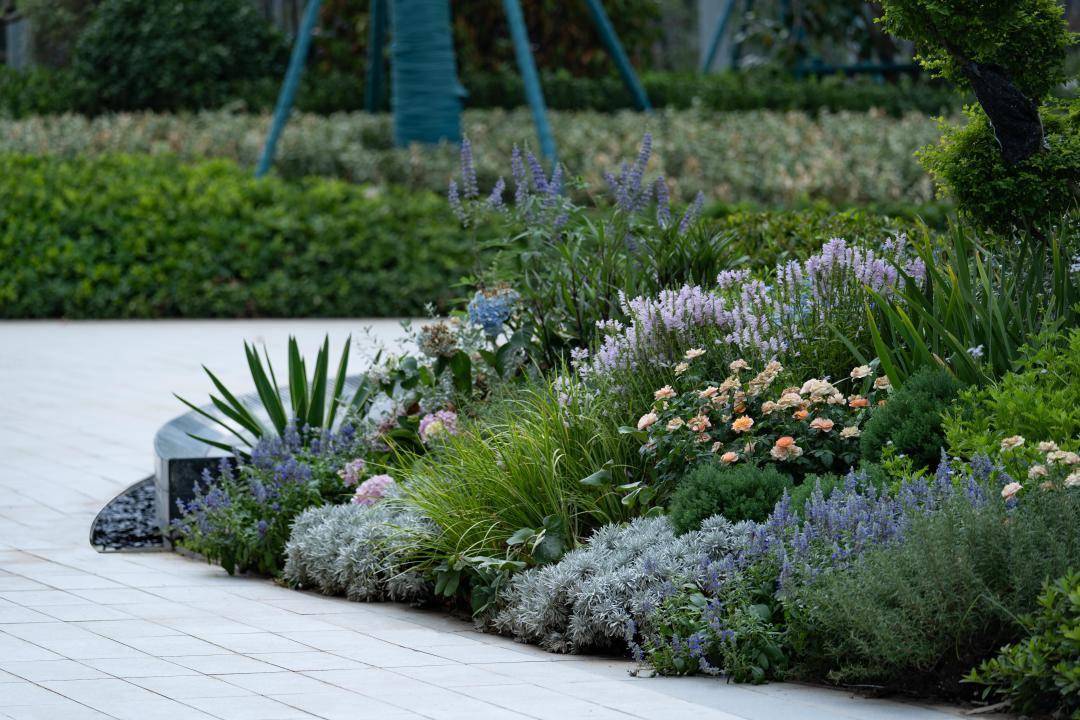 8个花境落地项目分享,邀你一起来赏析_的设计_自然_招商