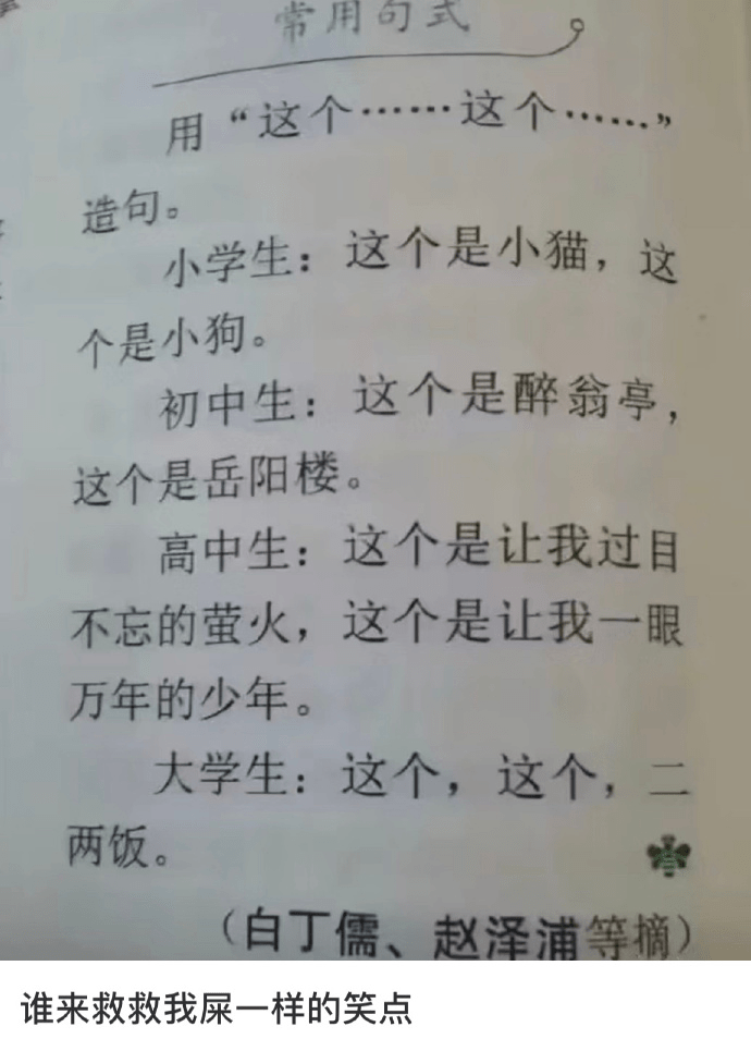 【一乐】大学生VS中学生的造句,笑不活了_星标_政策_计划