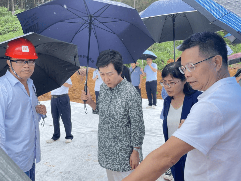 韶关市副市长罗海俊,市住建局局长吕泱,副局长张广礼,新丰县副县长黄