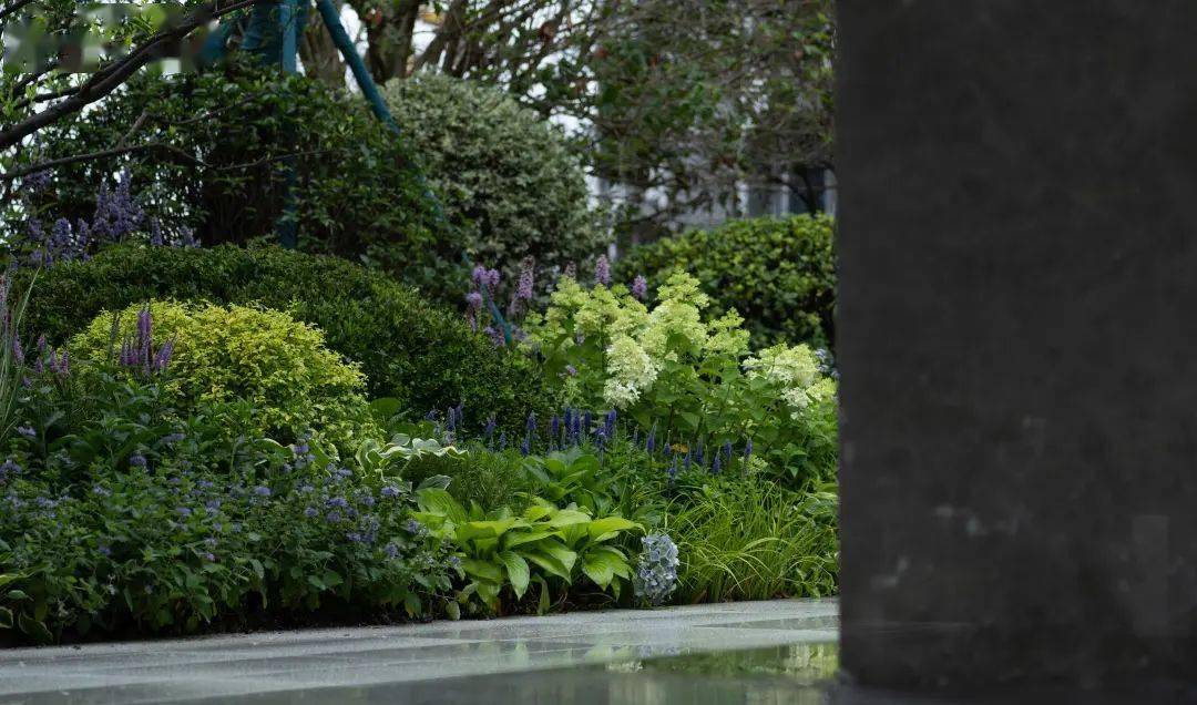 8个花境落地项目分享,邀你一起来赏析_的设计_自然_招商