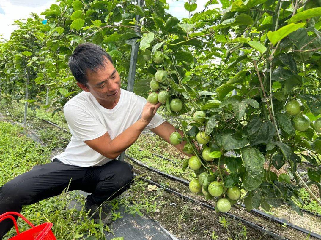 长乐市民心目中最美乡镇(街道)no.1!