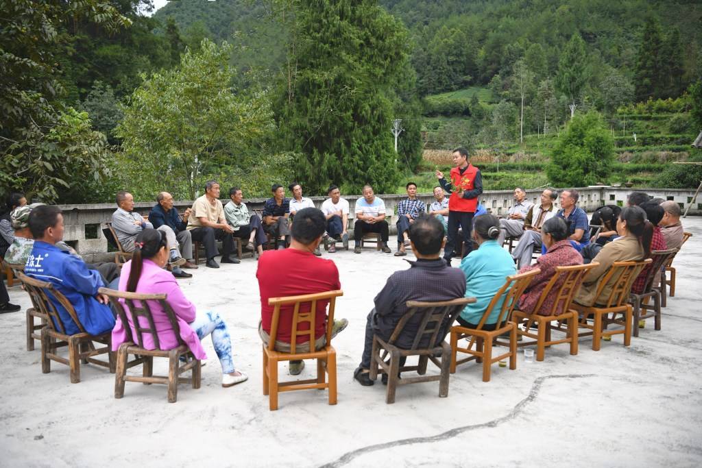 宣恩长潭:茶园管理正当时_茶叶_长潭河侗族乡_培训