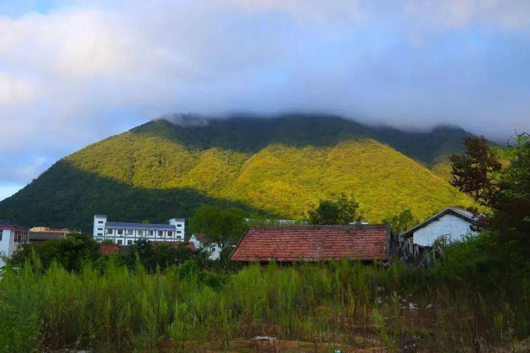 三,五发车前往黄柏塬;周二,四,六发车返回太白县城)
