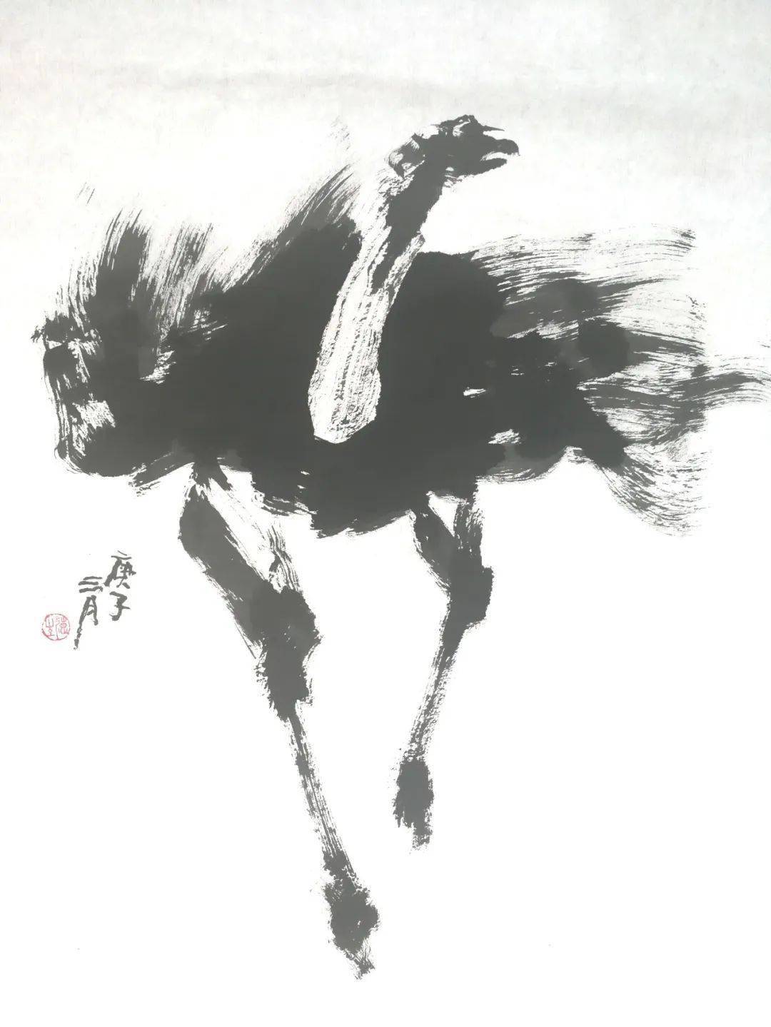 独辟新径 图绘生灵