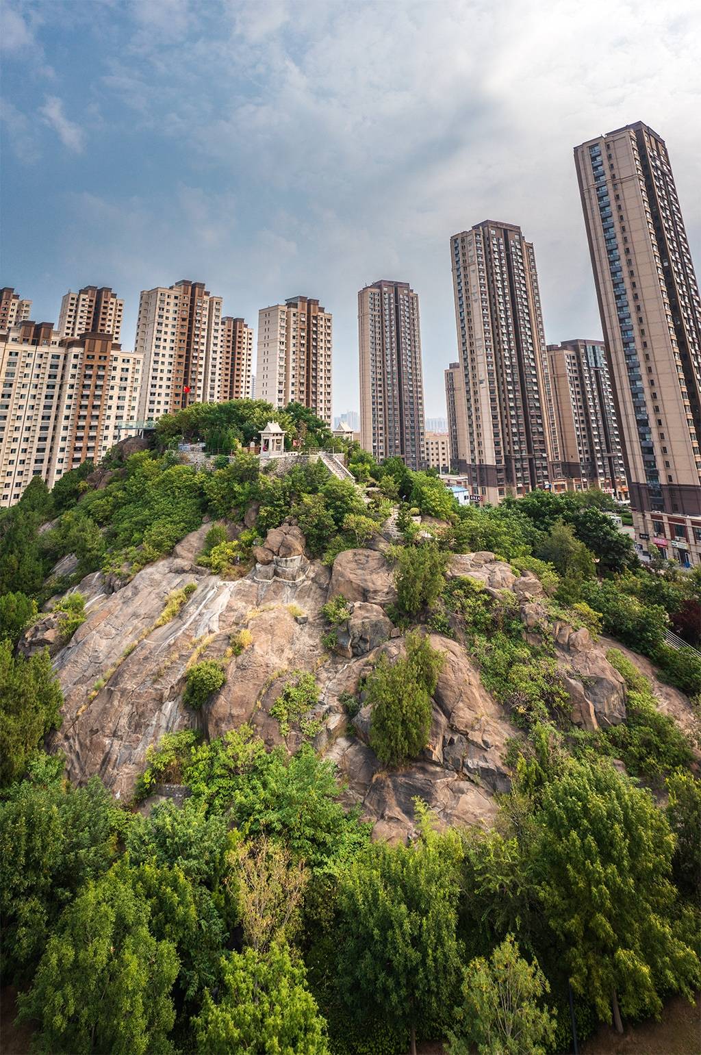 好景山东|济南标山满目苍翠秋色初染,橙黄橘绿赏秋正当时_齐鲁_情报员