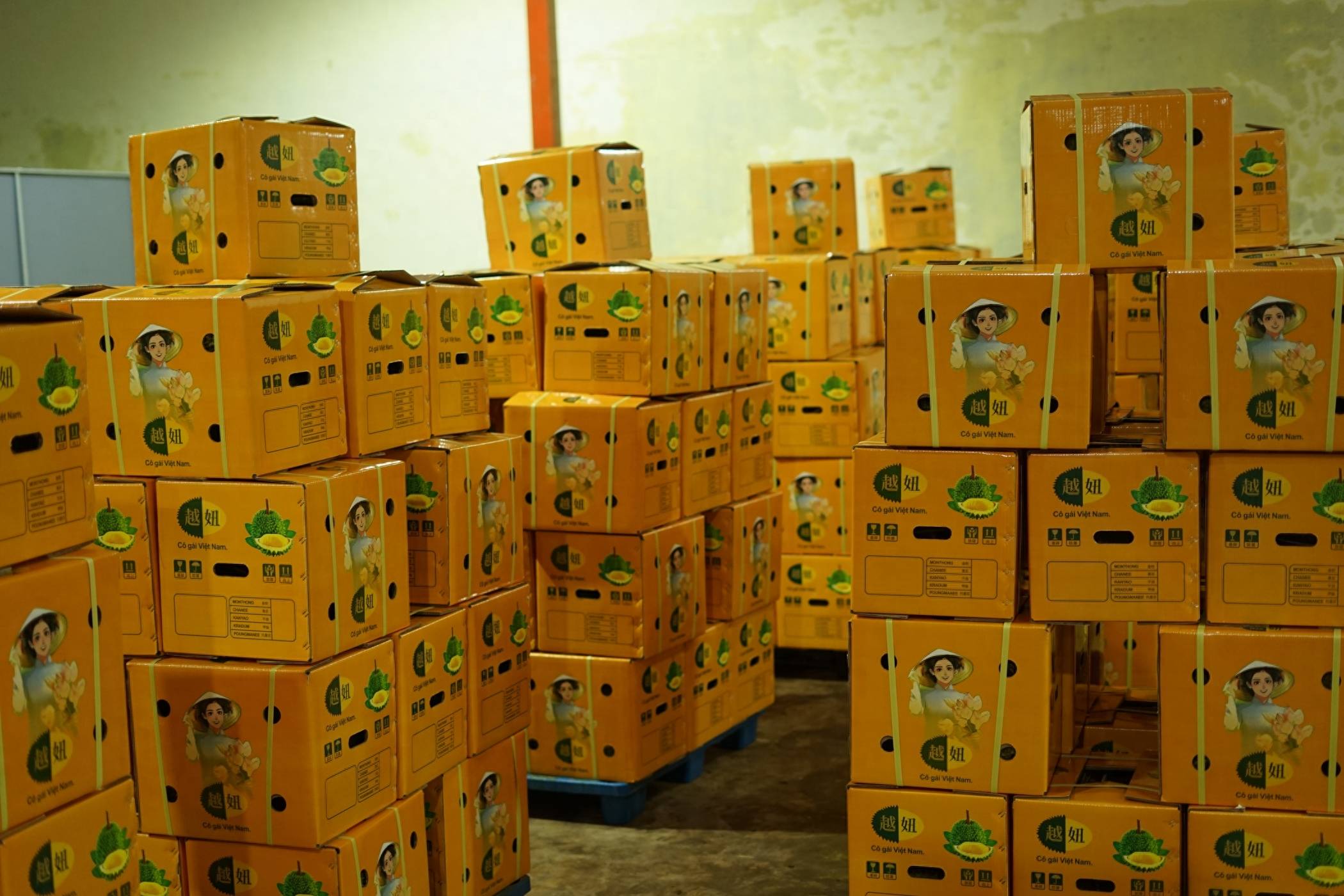 (镜头连中外)东盟榴莲的跨境之旅_新华社_王腾_中国