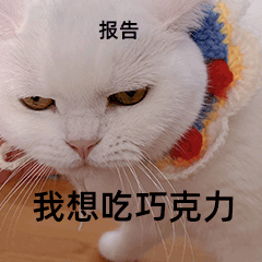 图源:微信表情包因此医生建议:3岁以下的宝宝最好不要吃巧克力,3岁