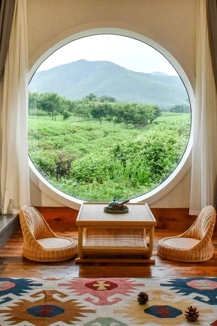 乡遇美好 | 溧阳南山竹海有多美,李家园的民宿就有多卷_园村_风情