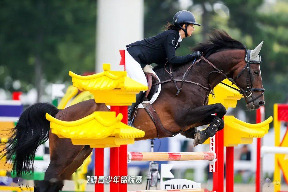 "马术和学业齐头并进,技术与战术缺一不可"_北京站_团体_青少年