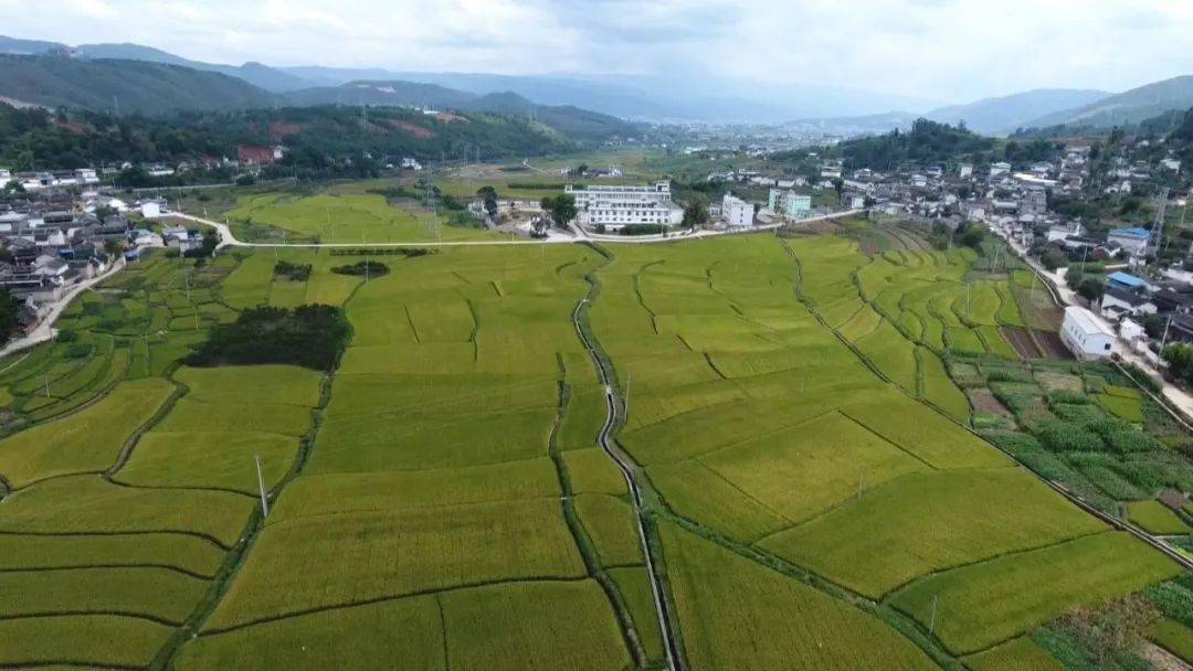 姚关镇,旧城乡天然富硒地块获全国天然富硒土地认定如今施甸正以"绿色
