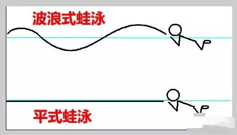 蛙泳菜鸟级,为什么抬头换气必须下沉?_动作_身体_游泳