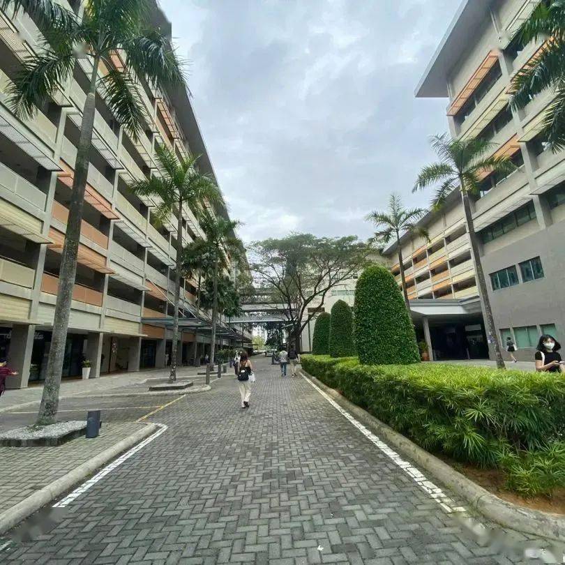 如蒙纳士大学马来西亚校区,科廷大学新加坡校区,詹姆斯库克大学新加坡