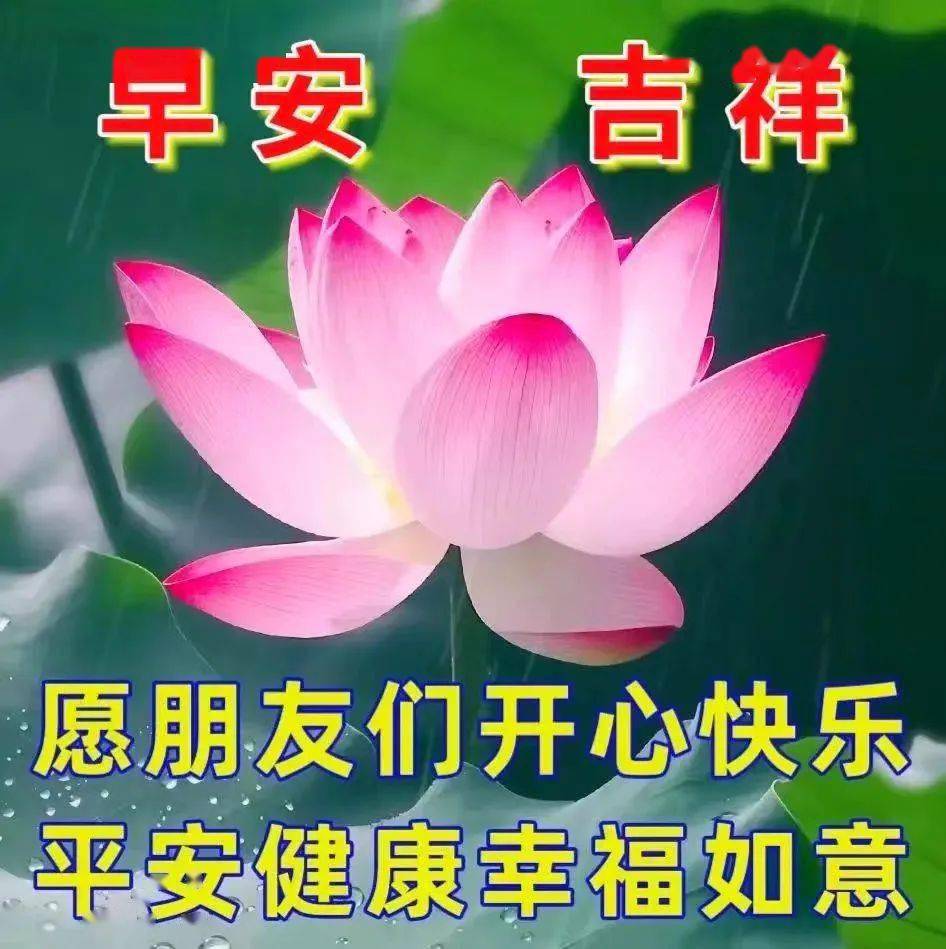 雨打芭蕉,雲起雲消;剪燭西窗,花開花落.往事如風,情懷依舊.