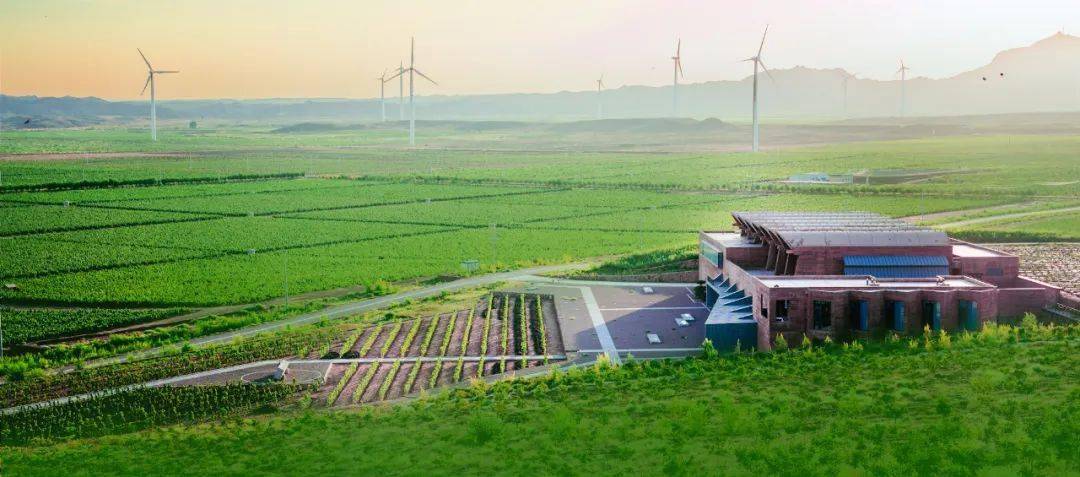 26 东莞|望月石酒庄品鉴会,酿酒顾问nicolas billot-grima亲临分享