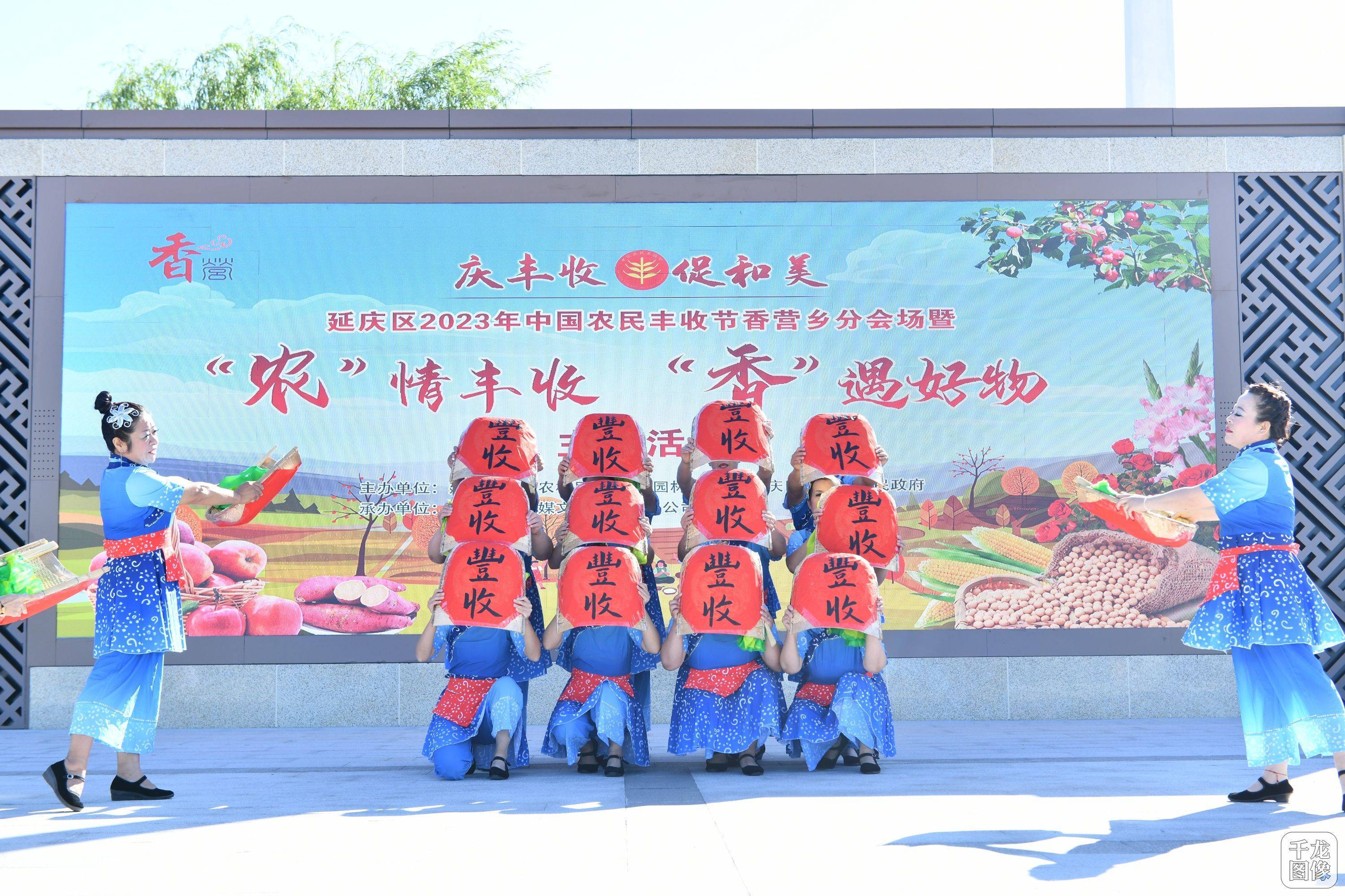 中国农民丰收节|北京香营瓜果飘香 迎丰收