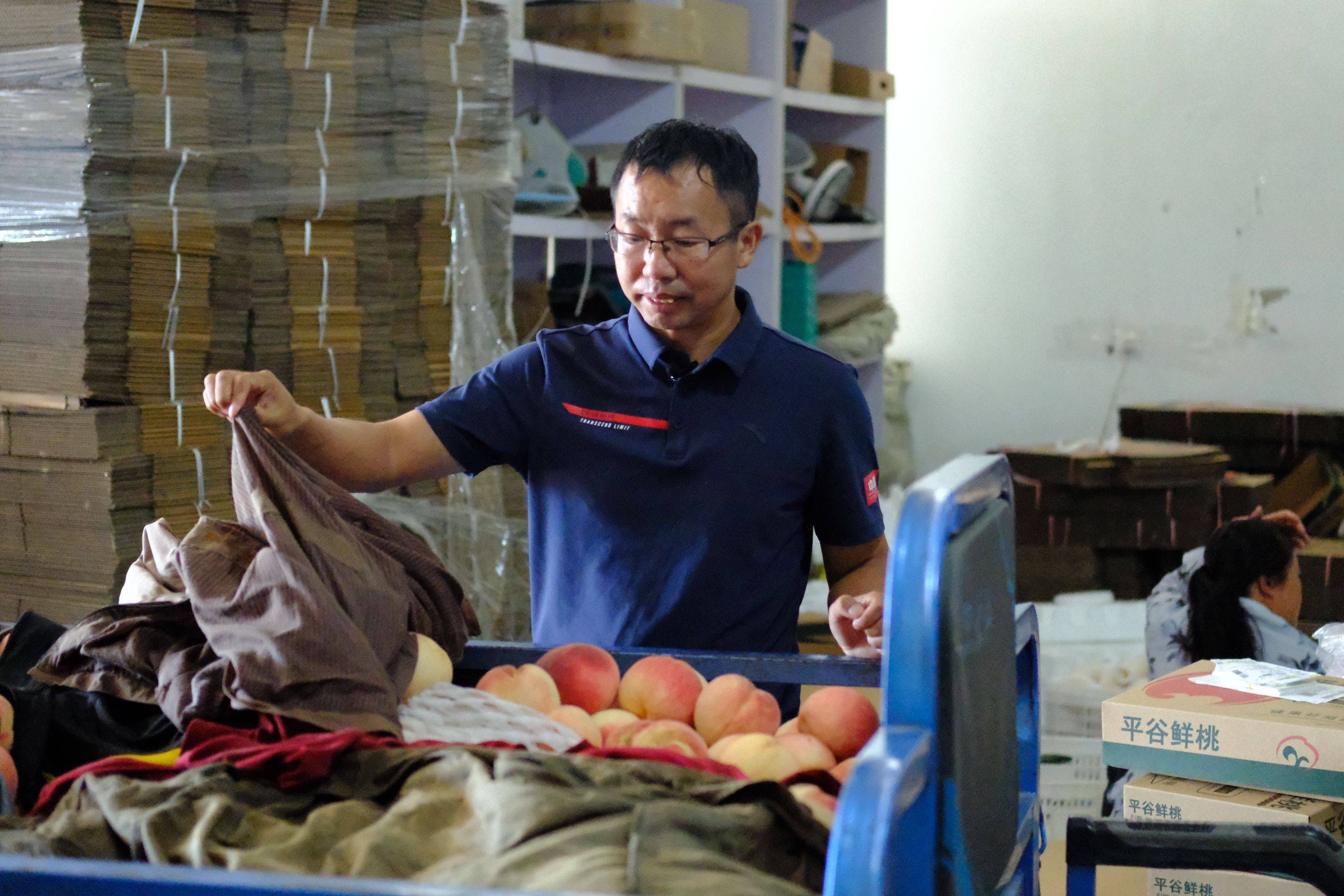 "京·彩"新农人丨杨新文:从大学生村官到创业卖桃_大桃_销售_桃子