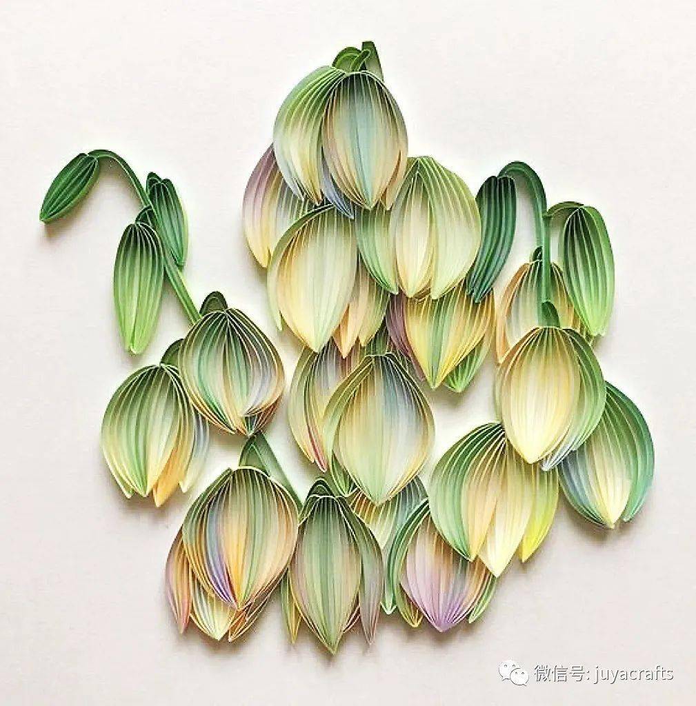 【国外优秀衍纸作品】线条花卉作品的独特美_图片_艺术_爱好者