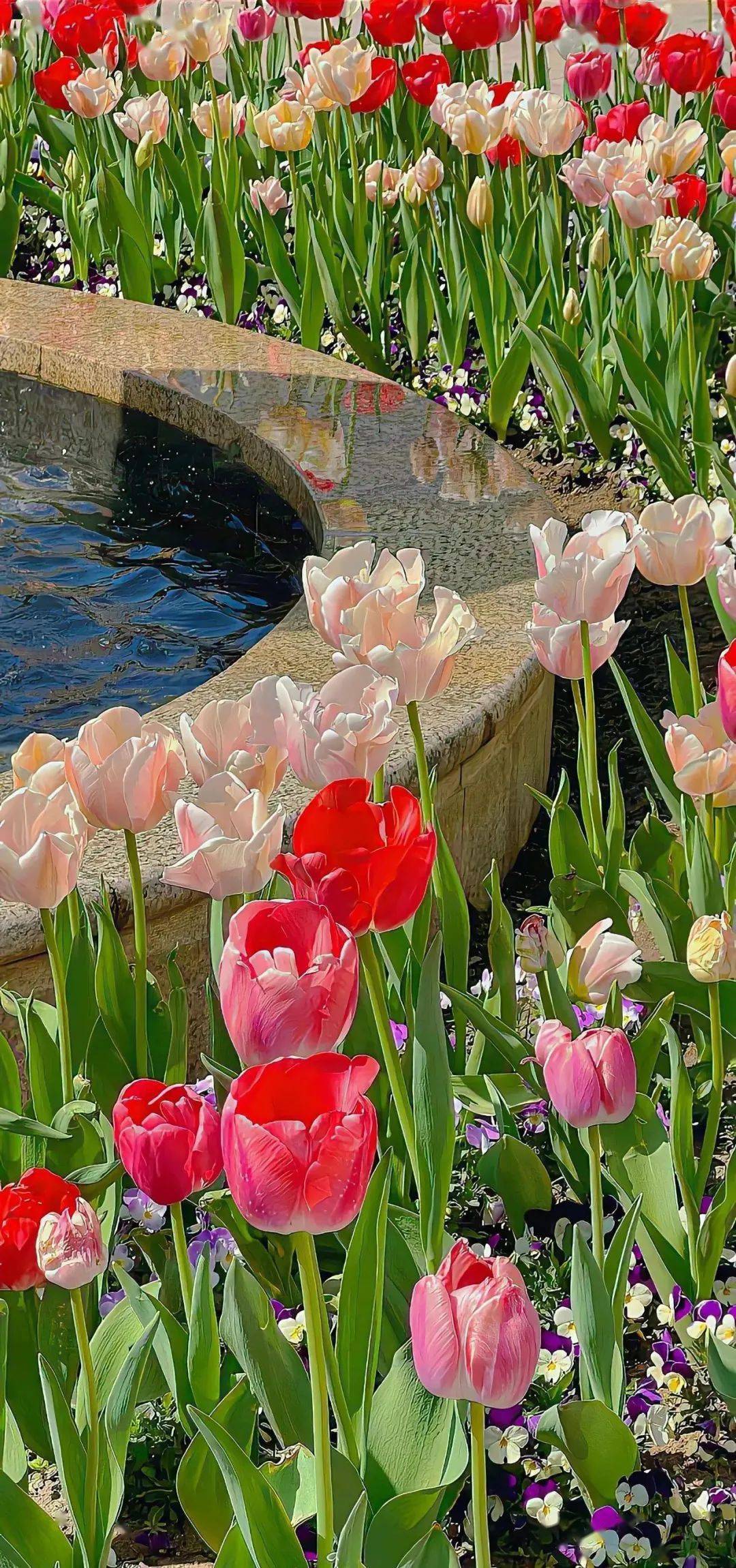 壁纸 | 高级感满满的ins风壁纸